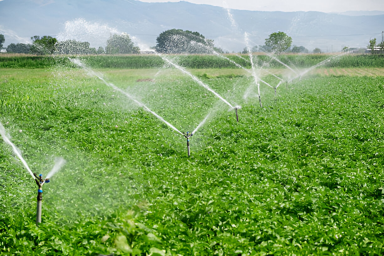 Plant nutrition and agriculture